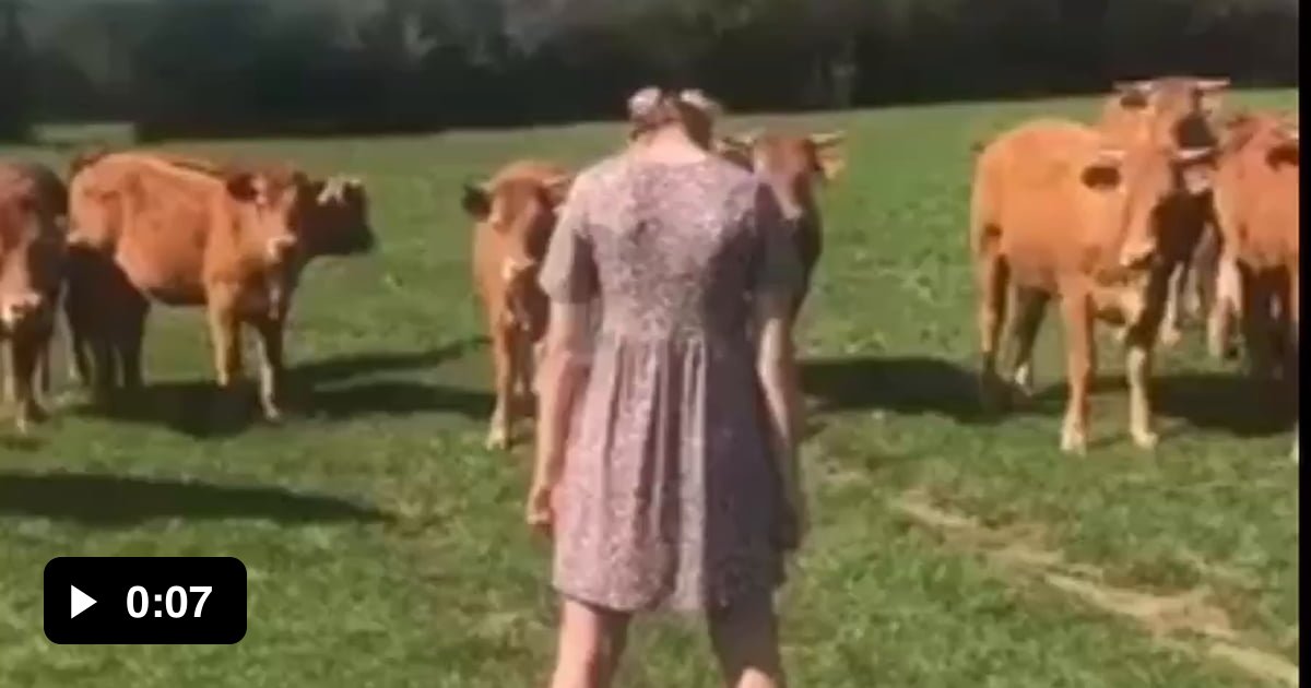 Dat ass though - 9GAG