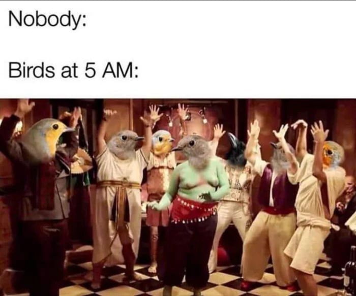 Party hard - 9GAG