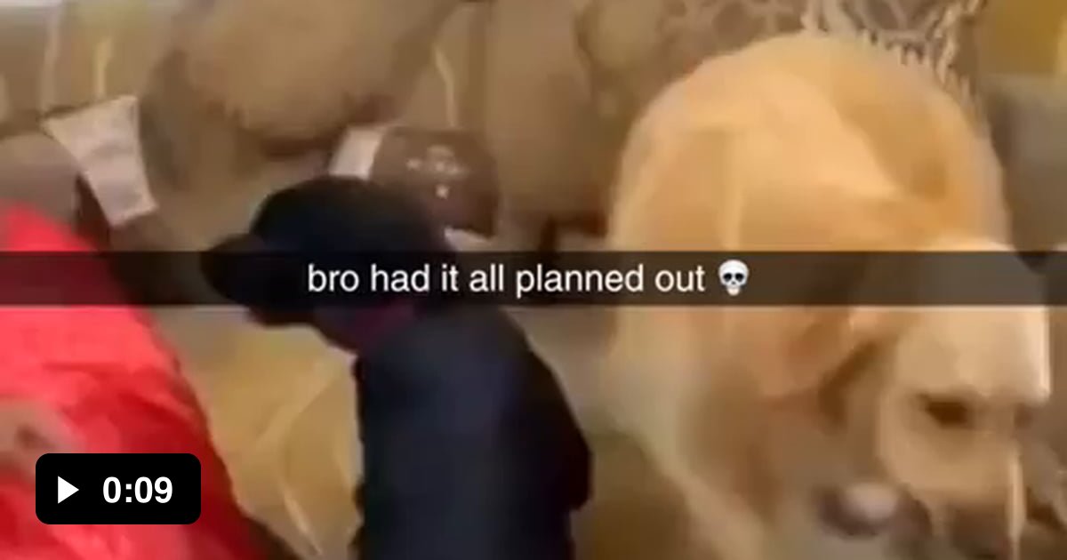 Bros a smooth criminal - 9GAG