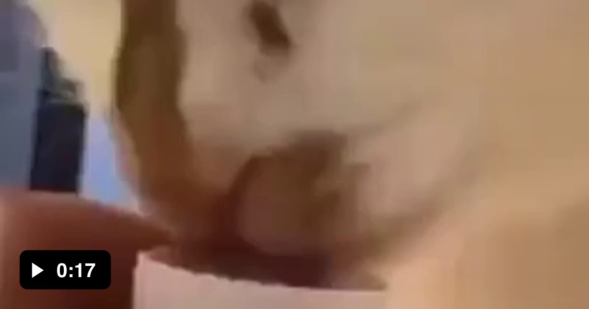 9gag.com