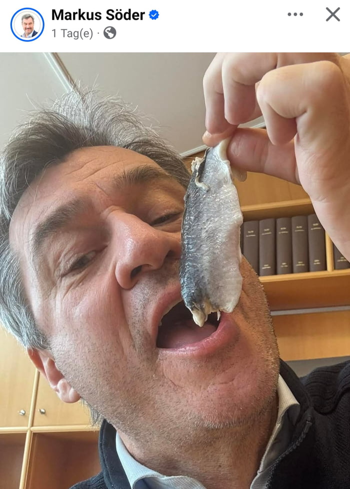 Der Fisch Stinkt Vom Kopf Latein Kennt ihr den Spruch: "Der Fisch stinkt vom Kopf her" - 9GAG