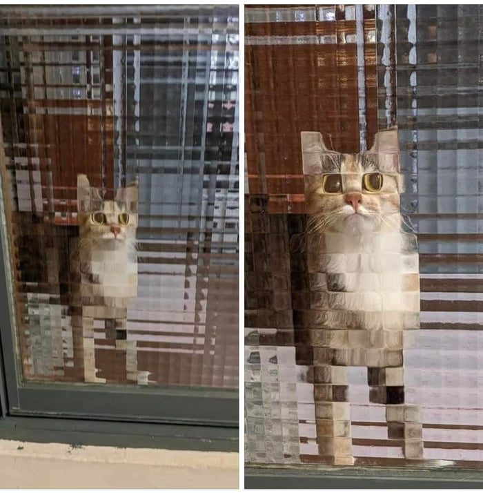 8 bit cat - 9GAG