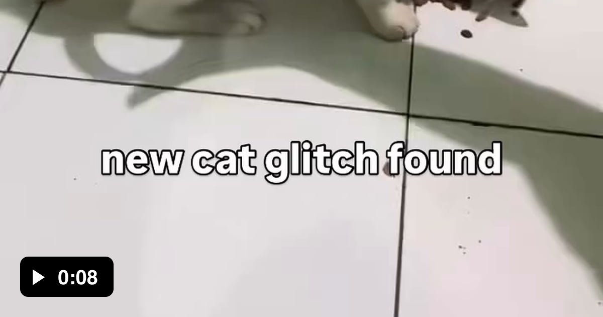 Cat tail glitch, infinite loop - 9GAG