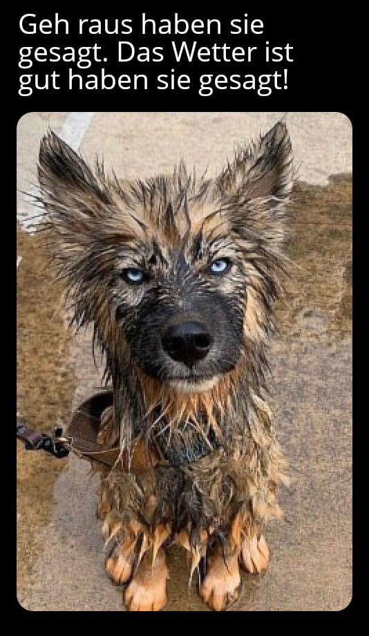 Anna Immer Wenn Es Regnet Immer wenn es regnet, muss ich an dich denken... - 9GAG