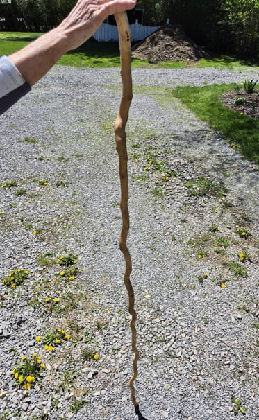 They Have Sticks Are we still doing sticks? - 9GAG