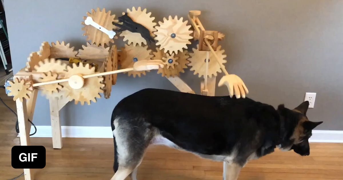 Automatic dog petter 9GAG