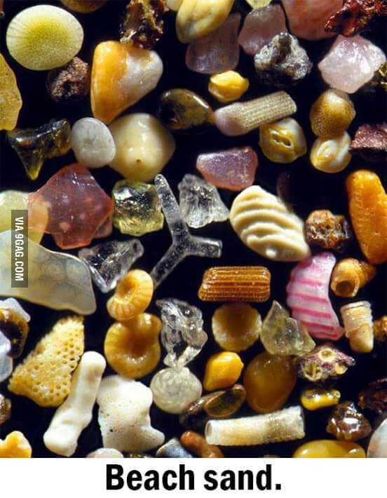 Beach sand under microscope - 9GAG