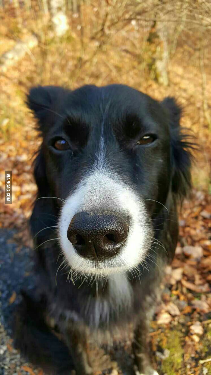 Dat Face - 9GAG