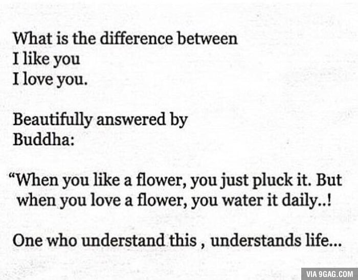 If You Know What Buddha Means 9GAG