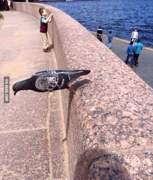 "Annie are you OK? Are you OK Annie?" 9GAG