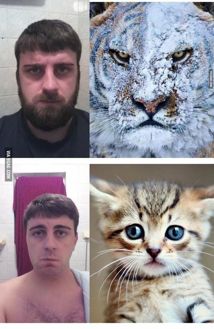 how-i-feel-every-time-i-shave-9gag