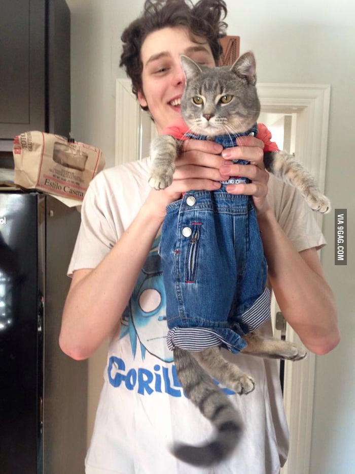 Cat with a jumpsuit - 9GAG