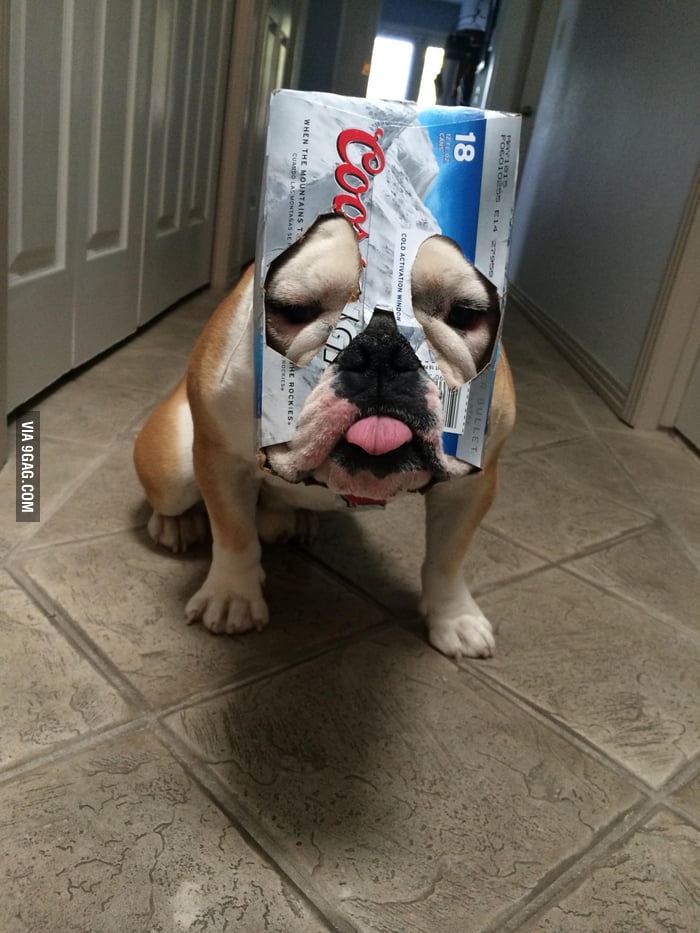 Chew me up. Chew me up