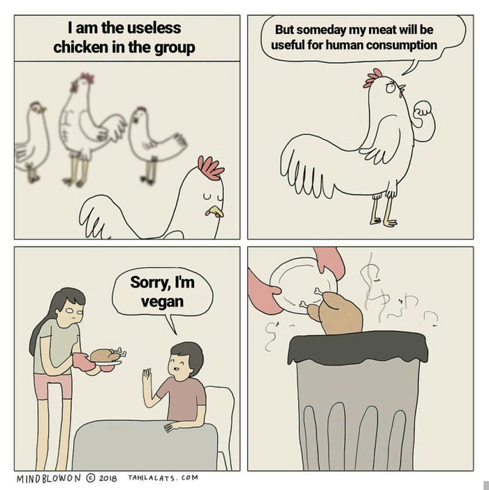 Chickens Are Gay 9gag