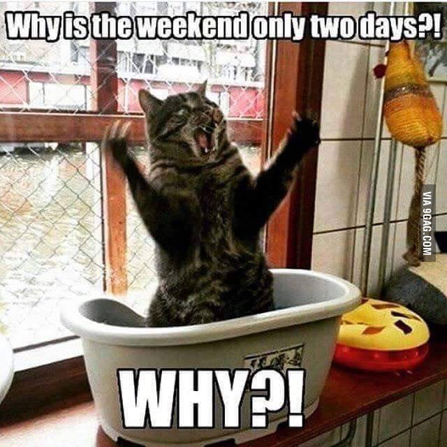 To maintain a work-life balance, I propose we make the weekend 3.5 days ...