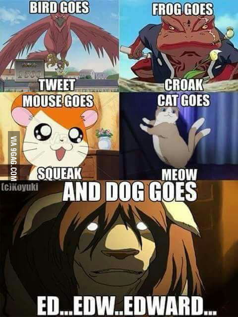 ed...ward dog ed...ward dog