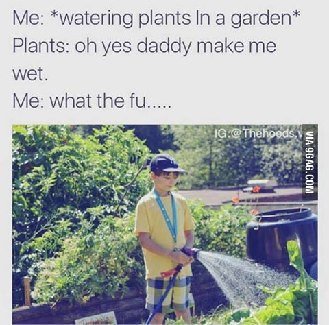 Every time I water my plants - 9GAG