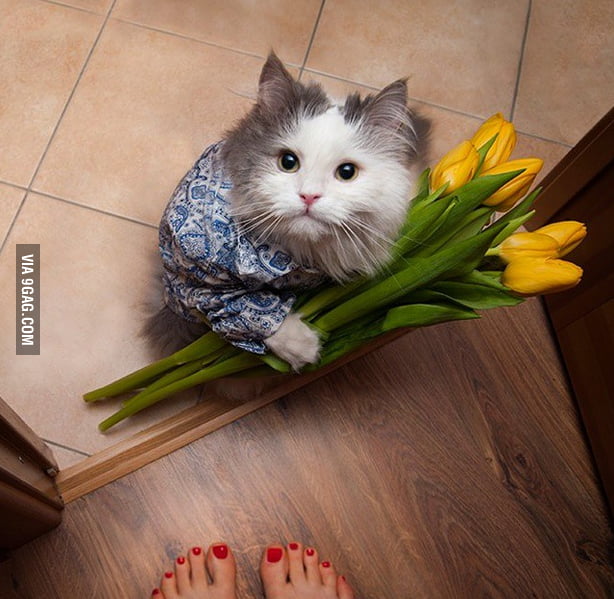 Flowers for you madam... 9GAG