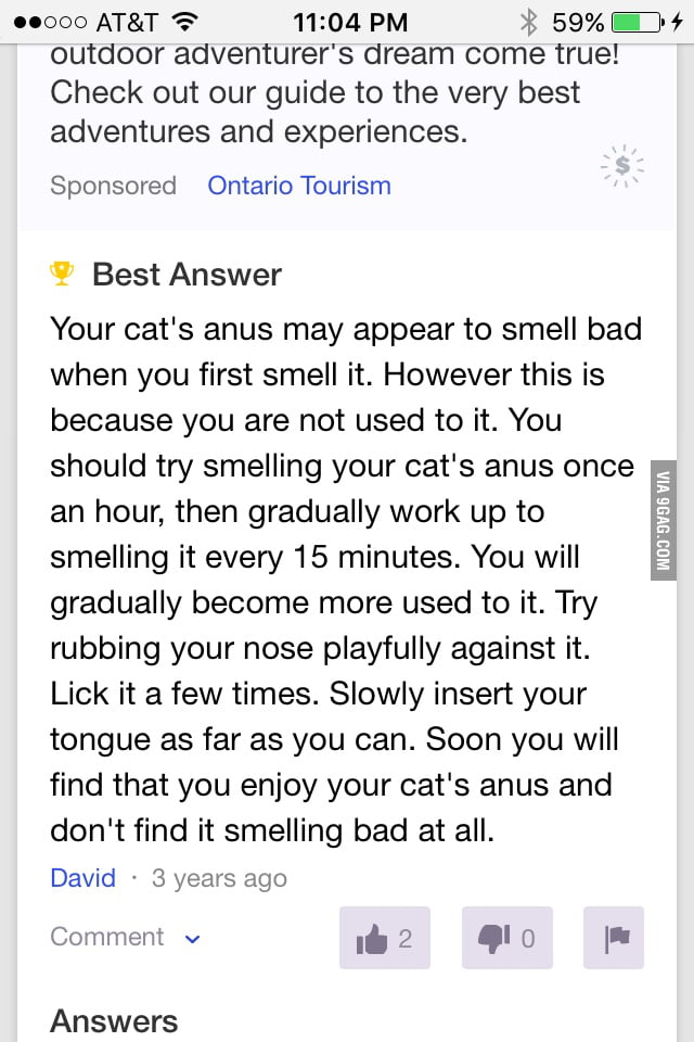 The best answer (chosen by asker) for "Why does my cat's anus smell so
