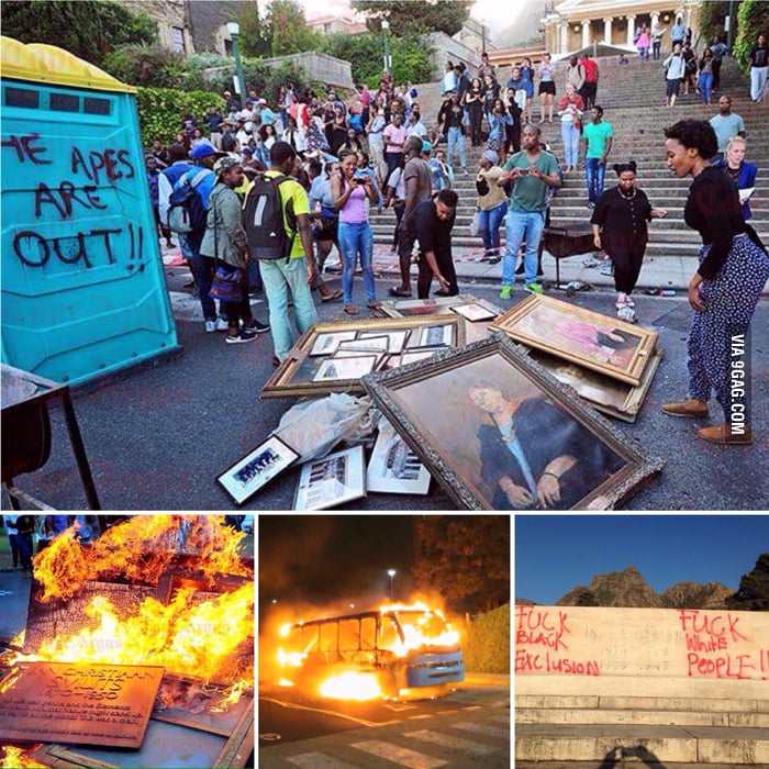 Uct Students Burning Historical Paintings Busses And Offices As Usual 9gag