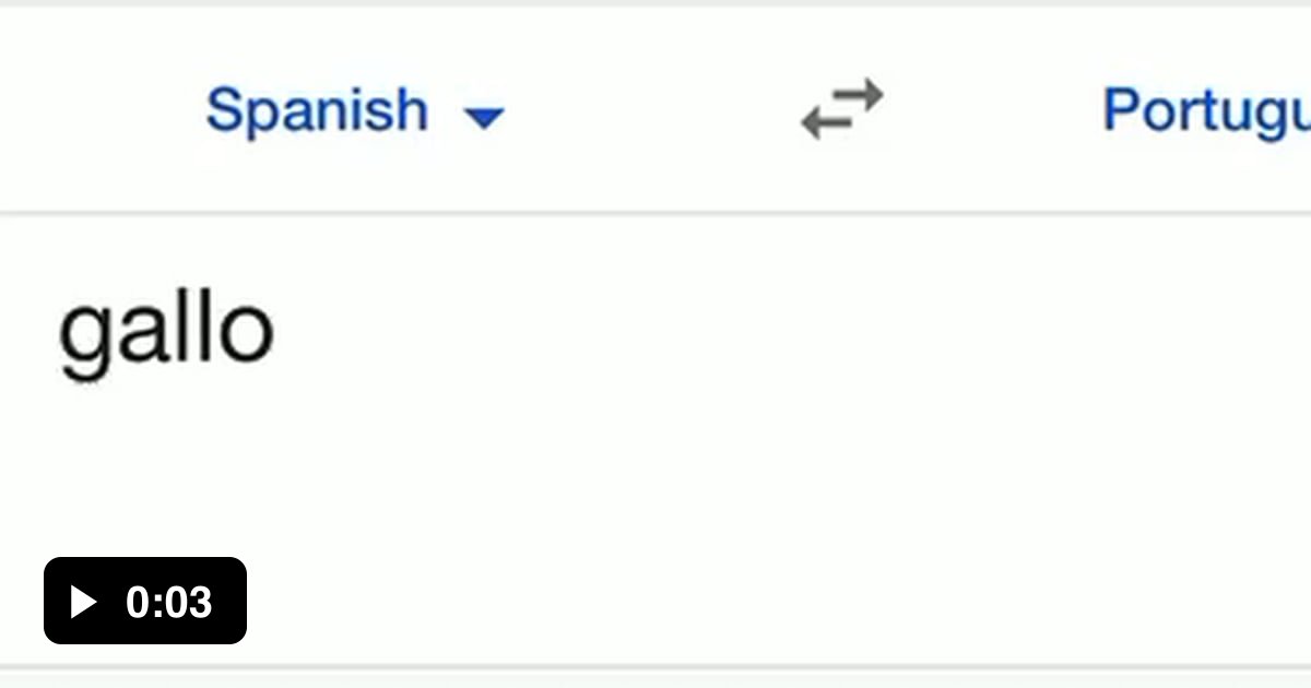 this-is-how-the-word-gallo-rooster-in-spanish-sounds-in-google