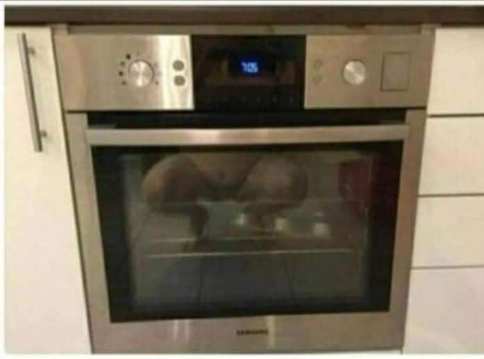 "Do you sell this oven ?" "Yes" "Is the chicken included ?" 9GAG