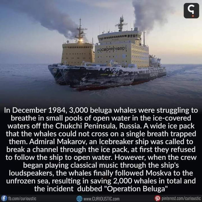 "Operation Beluga" - 9GAG