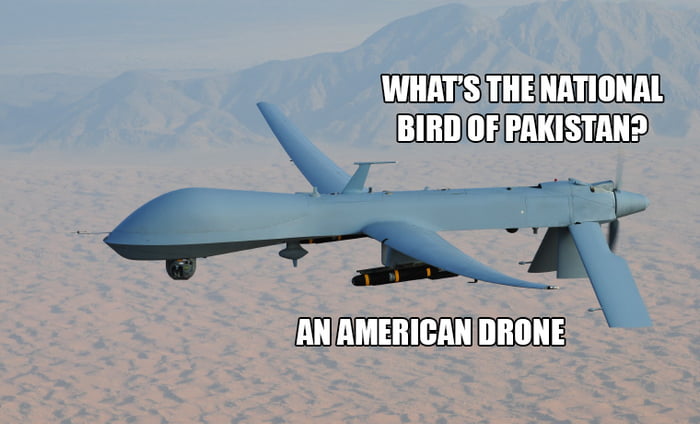 pakistan-national-bird-it-is-u-s-drones-9gag