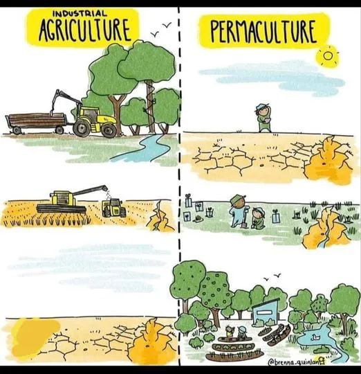 The difference between industrial agriculture and permaculture 9GAG