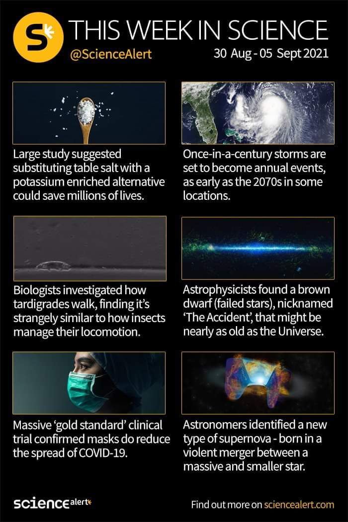 Weekly science by science alert 9GAG