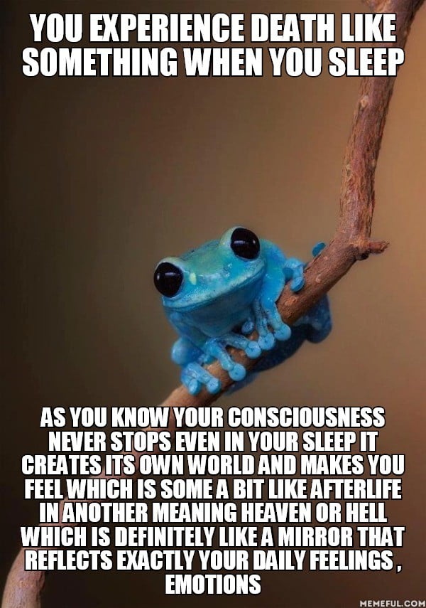 Many People Live In Dreams In Accordance With Their Daytime Events By The Witness That How They Feel For Example Getting Angry At Someone In Day Concludes Fighting Someone In Dream But