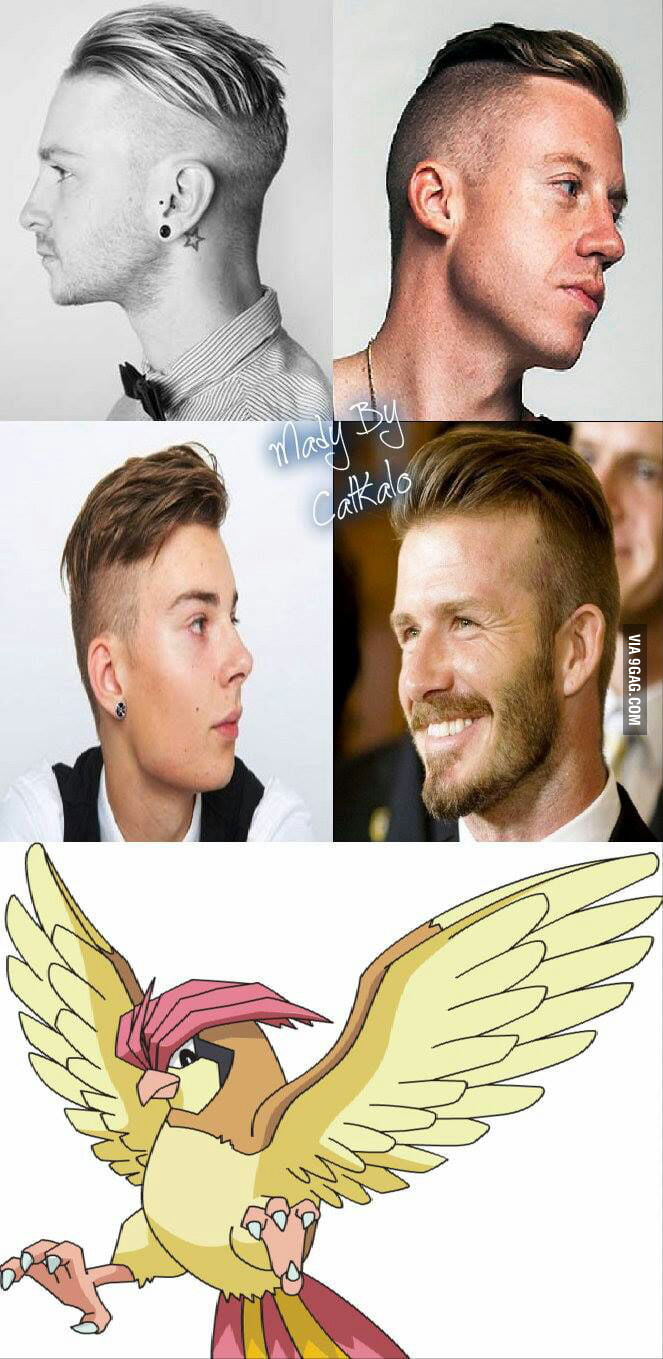 Pidgeot hair