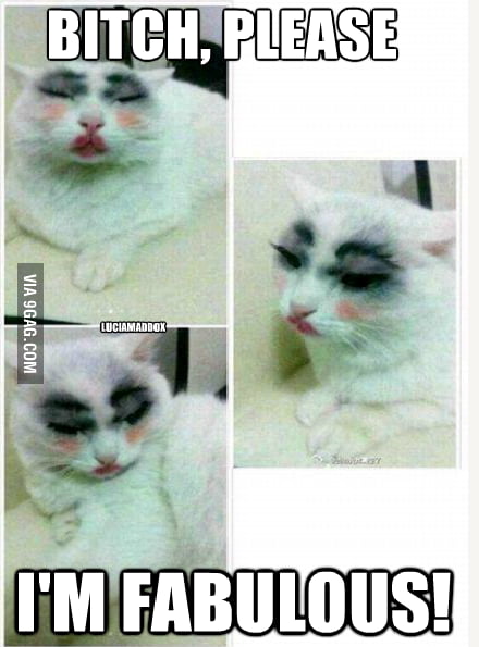 B*tch, I'm Fabulous - 9GAG