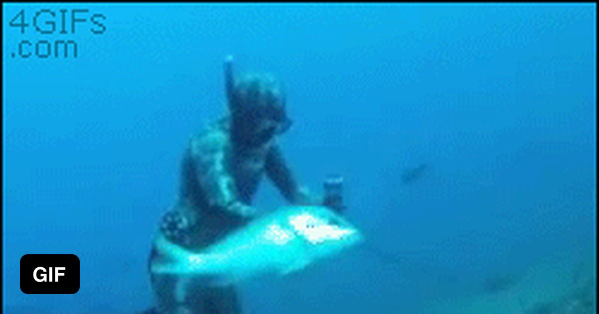 Ихтиандр амфибия. Костюм ихтиандра. Ихтиандра рыба. Ихтиандр человек-амфибия. Ихтиандр 1961.