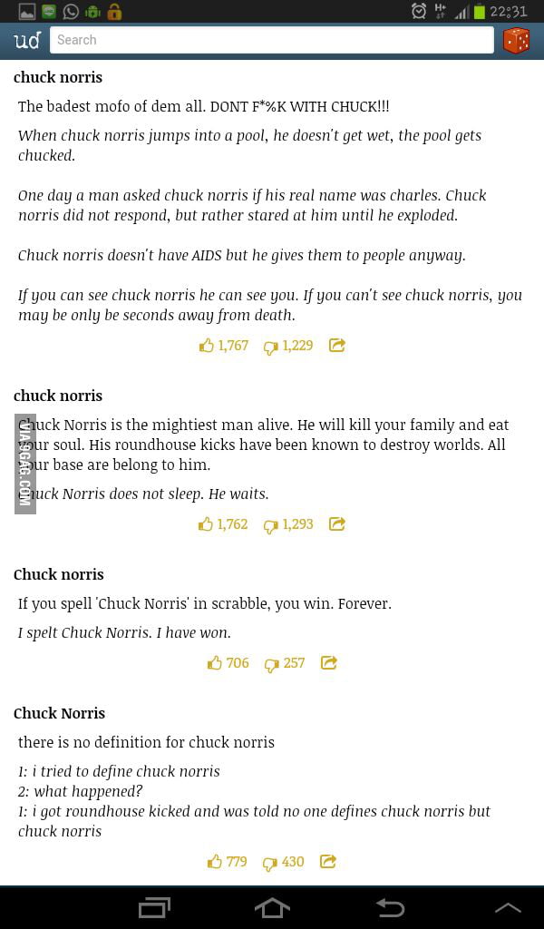 i-looked-up-chuck-norris-on-urban-dictionary-9gag