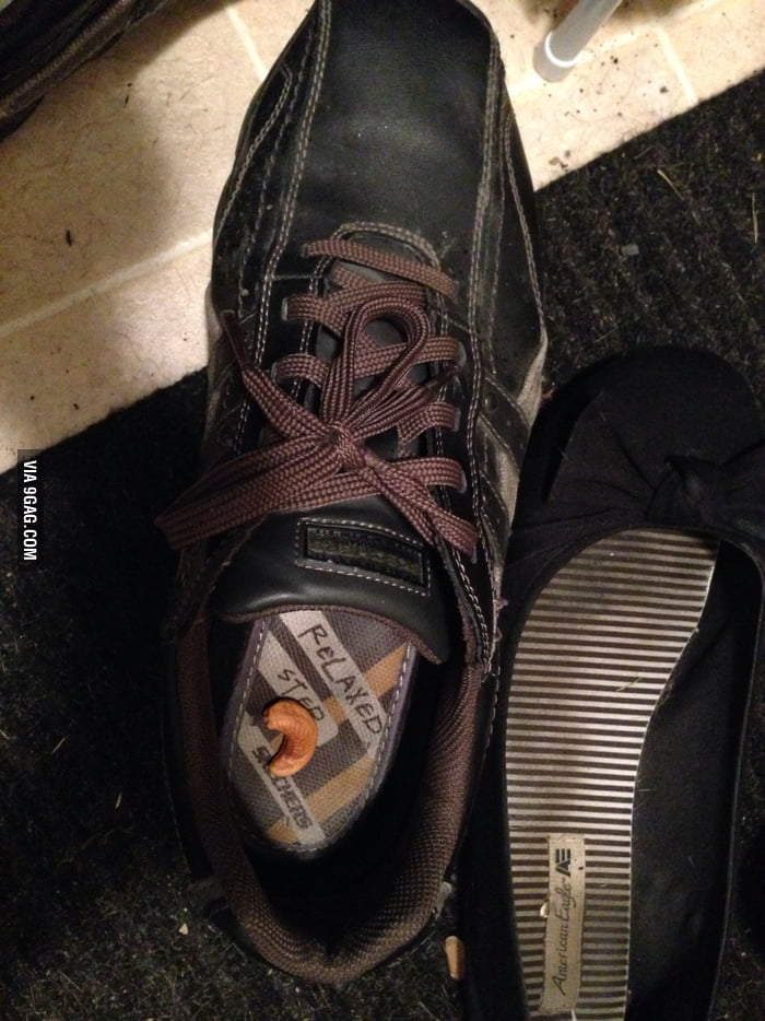 Was eating when one dropped and I realized- it's a ca-shoe! - 9GAG