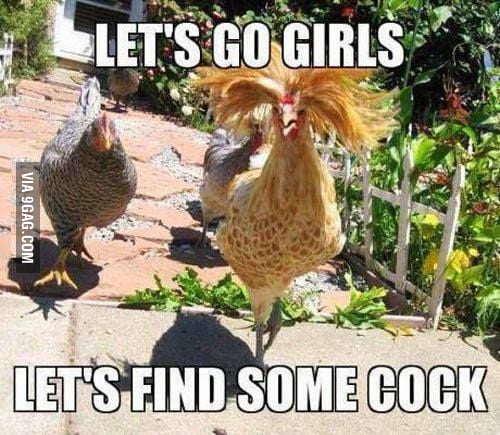 Naughty Chickens 9gag