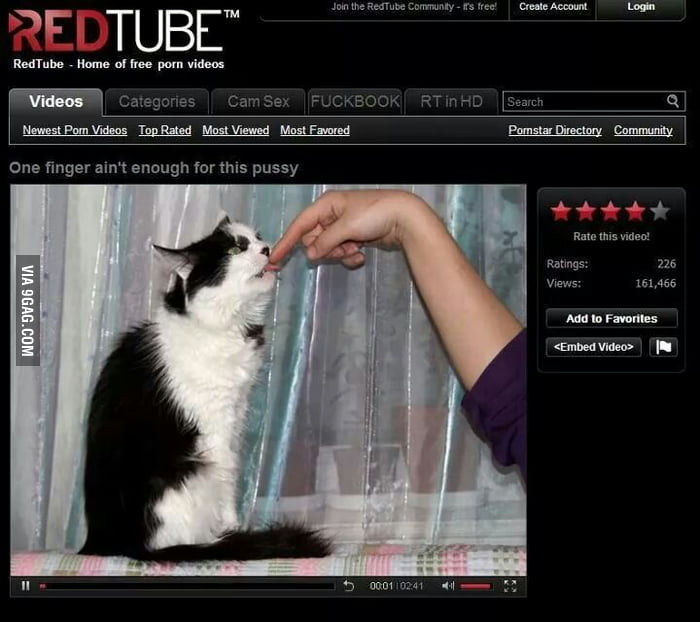 Redtube had the best pussy porn - 9GAG.