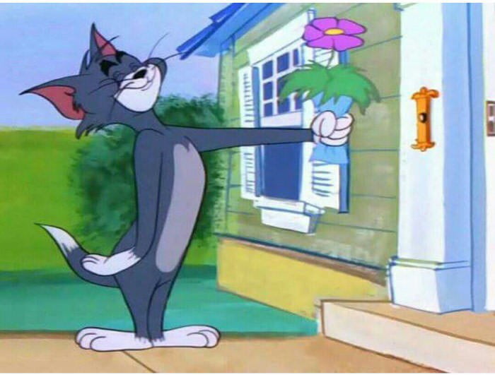 Jerry is a jerk! I am, and always will be, on team Tom. 9GAG