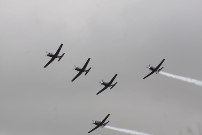 rnzaf black falcons