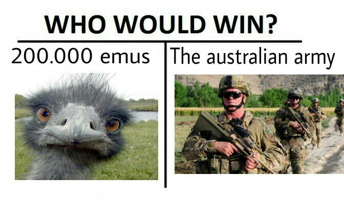 Australia actually declared war on emus in 1932 9GAG