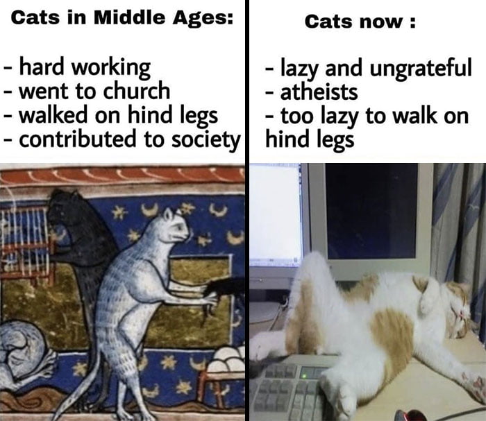 Even cats were better :)) - 9GAG