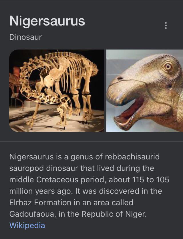 Nigersarus the king of racist dinos - 9GAG