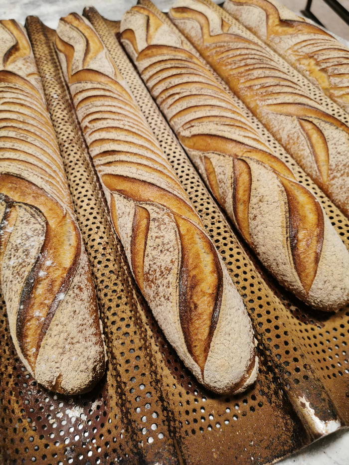 Sourdough Baguettes Gag