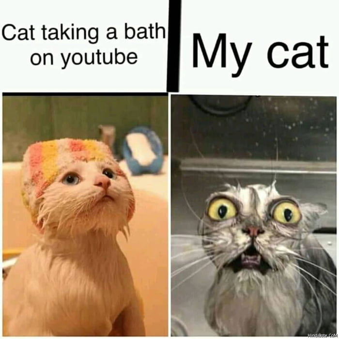 Cat+bath= - 9GAG