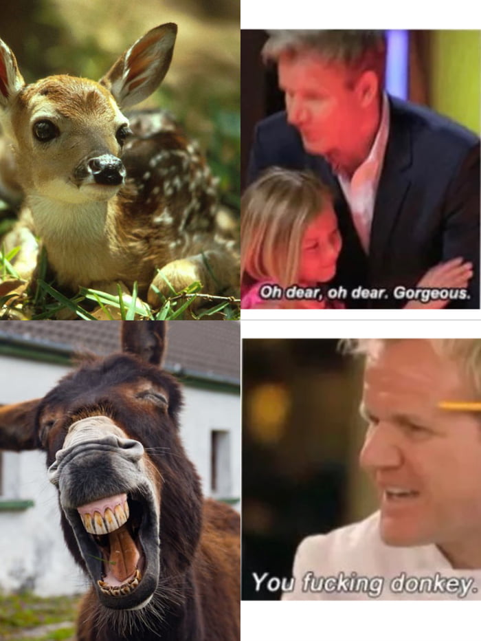 oh-deer-9gag