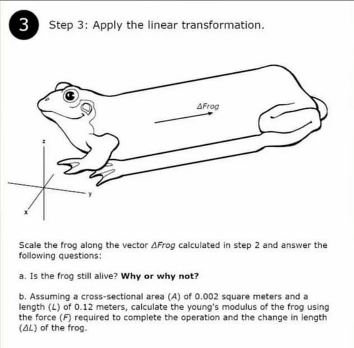 Frog transformation - 9GAG