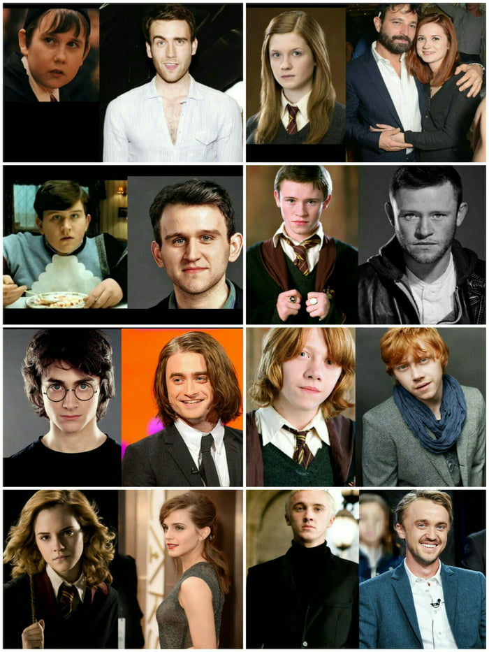 Harry Potter: Where Is the Cast Now?