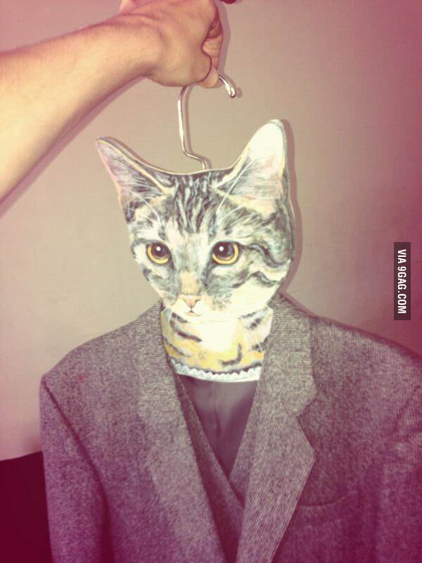 Cat hanger. - 9GAG