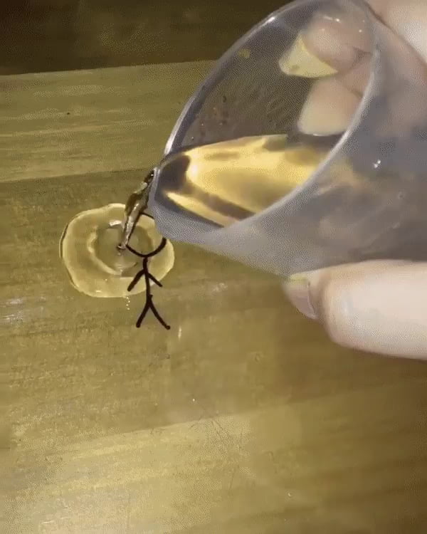 Dry erase marker reacting to water 9GAG